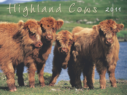 highlander-cows-2011-calendar